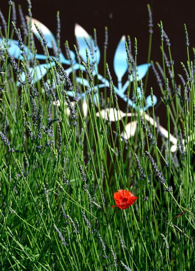Bed and Breakfast Bastide des Demoiselles Roussillon en Isere Exterior foto