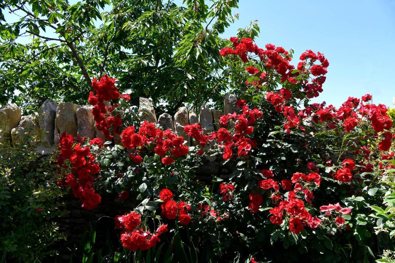 Bed and Breakfast Bastide des Demoiselles Roussillon en Isere Exterior foto