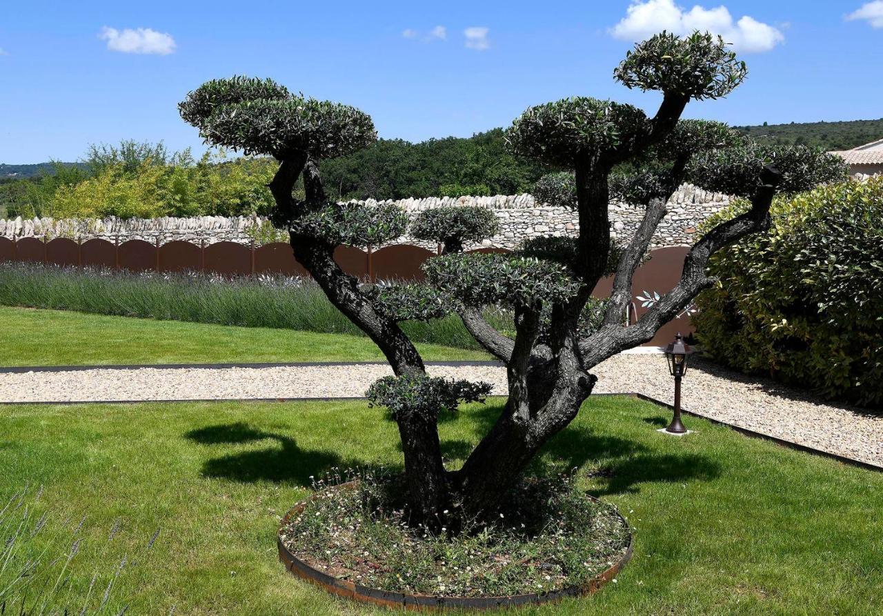 Bed and Breakfast Bastide des Demoiselles Roussillon en Isere Exterior foto